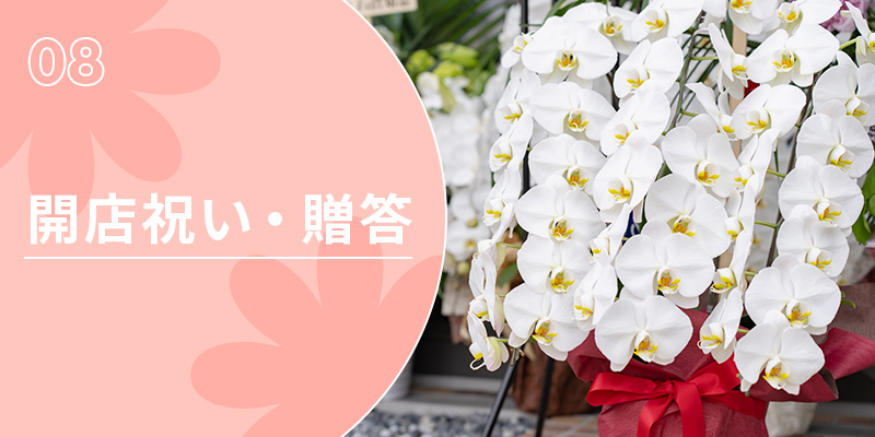 開店祝い・贈答
